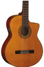 Cargar imagen en el visor de la galería, Washburn Classical Guitar w/EQ system
