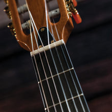 Cargar imagen en el visor de la galería, Washburn Festival Classical Guitar
